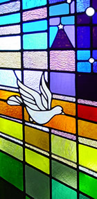 stained glass - dove